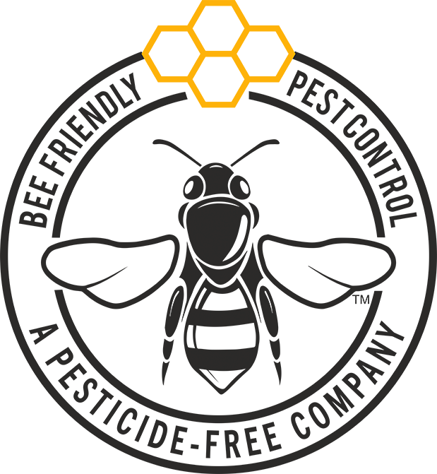 Abell Pest Control Raised Awareness for World Honey Bee Day - Pest